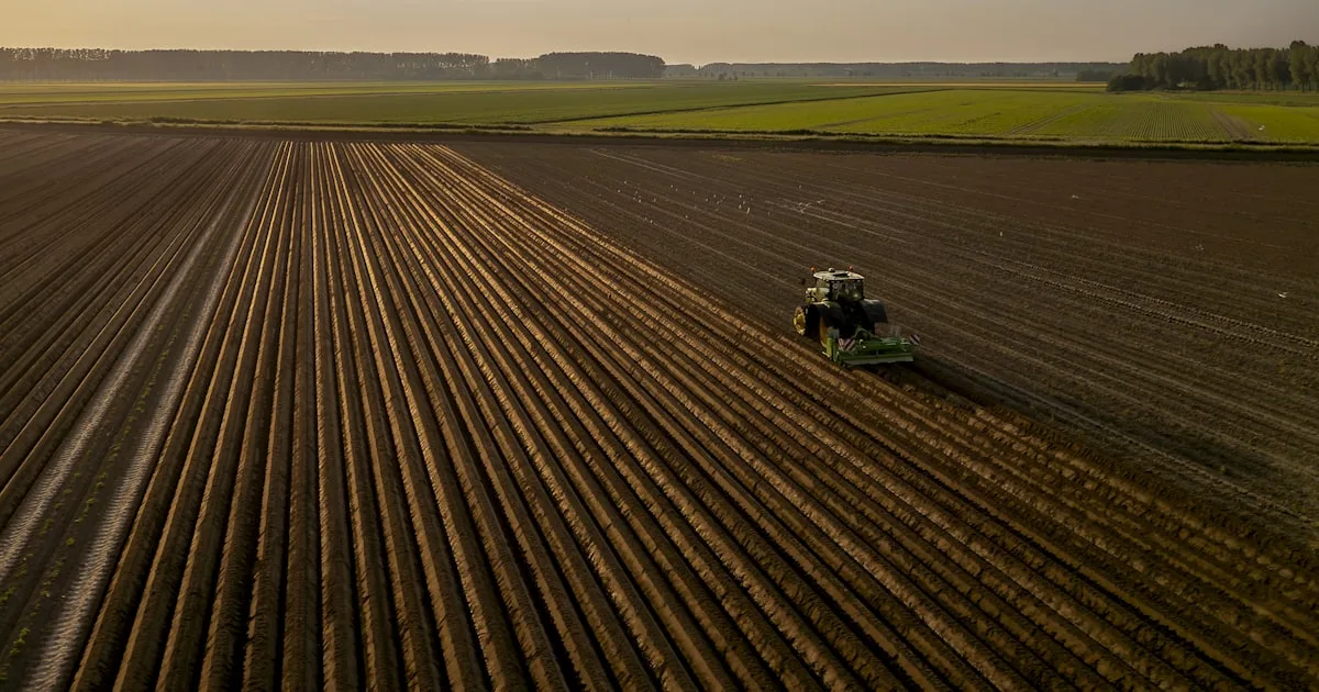 IBC-Br (Setembro de 2025): Agro Segura a Economia: IBC-Br de Setembro Mostra Perda de Fôlego e Queda Generalizada na Margem